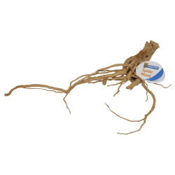 RACINE ARAIGNEE MEDIUM 30-40CM de Superfish - Aquadistri - accessoires pour aquarium et bassin dans Décoration d'aquarium