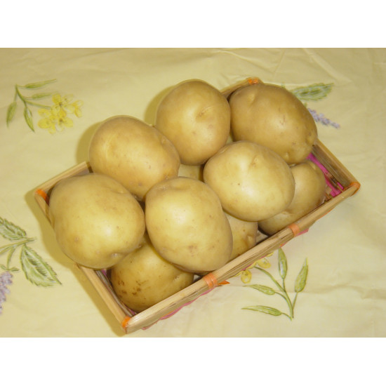 SIRTEMA 28/40 3KG DE POMME DE TERRE de Bernard - pomme de terre  dans sac de 3kg de pomme de terre à planter