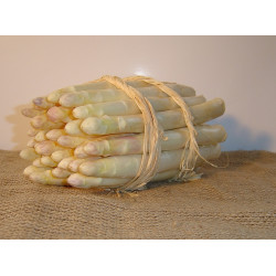 Asperges Argenteuil 10 Griffes A Planter de Bernard - pomme de terre  dans Graines d'autres légumes