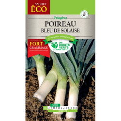 Poireau Bleu De Solaise-Gm -graines de Les Doigts Verts - graines de Gironde à Bordeaux dans Graines de Poireau