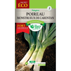 Poireau Monstrueux De Carentan 2-Gm -graines de Les Doigts Verts - graines de Gironde à Bordeaux dans Graines de Poireau