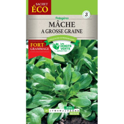 Mache A Grosse Graine-Gm -graines de Les Doigts Verts - graines de Gironde à Bordeaux dans Graines de Mache