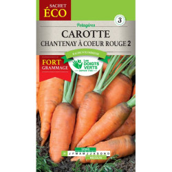 Carotte Chantenay A Coeur Rge 2-Gm -graines de Les Doigts Verts - graines de Gironde à Bordeaux dans Graines de Carotte