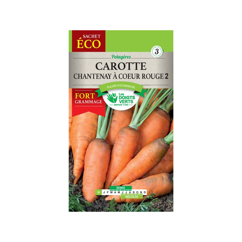Carotte Chantenay A Coeur Rge 2-Gm -graines de Les Doigts Verts - graines de Gironde à Bordeaux dans Graines de Carotte