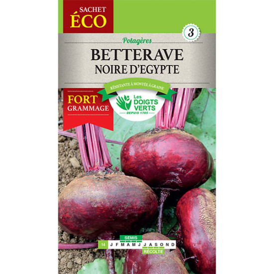 Betterave Noire D'Egypte-Gm -graines de Les Doigts Verts - graines de Gironde à Bordeaux dans Graines de Betterave