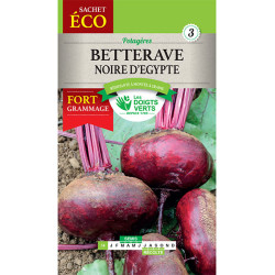 Betterave Noire D'Egypte-Gm -graines de Les Doigts Verts - graines de Gironde à Bordeaux dans Graines de Betterave