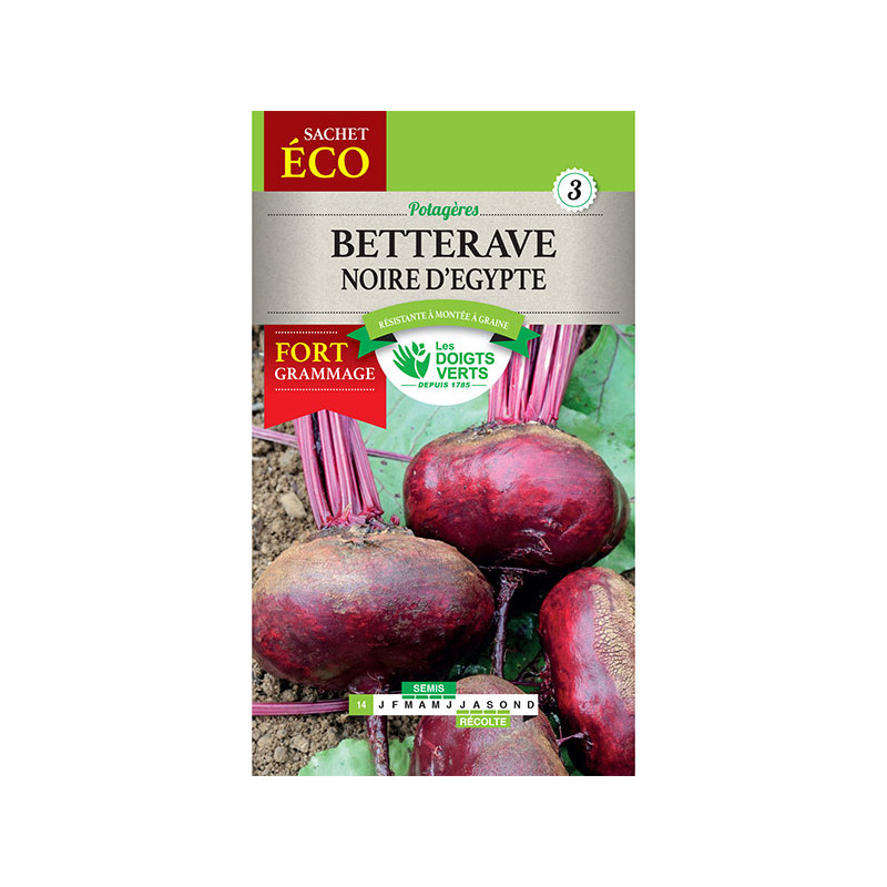 Betterave Noire D'Egypte-Gm -graines de Les Doigts Verts - graines de Gironde à Bordeaux dans Graines de Betterave