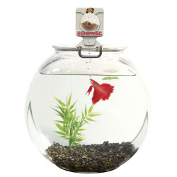 BETTAMATIC PROGRAMMATEUR COMBATTANT de Zolux - Produit pour animaux dans Distributeur de nourriture aquarium