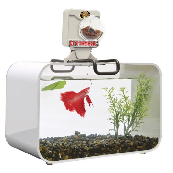 BETTAMATIC PROGRAMMATEUR COMBATTANT de Zolux - Produit pour animaux dans Distributeur de nourriture aquarium