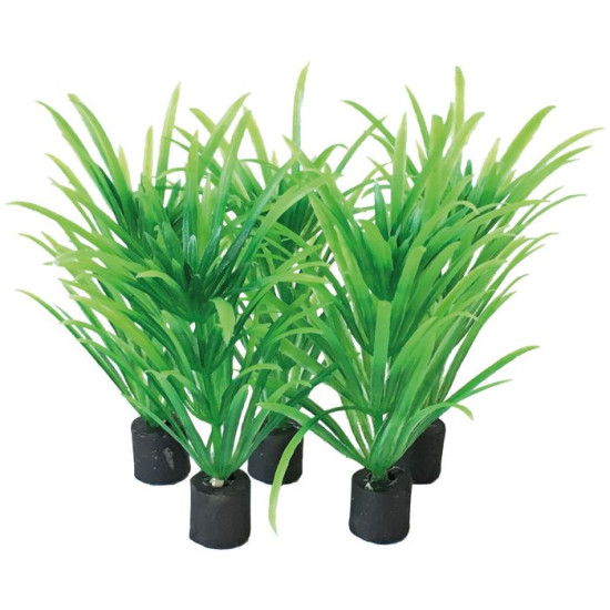PLANTE NANO PLUG 5CM de Superfish - Aquadistri - accessoires pour aquarium et bassin dans Plantes d'aquarium