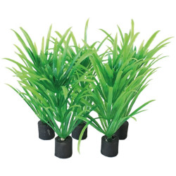 PLANTE NANO PLUG 5CM de Superfish - Aquadistri - accessoires pour aquarium et bassin dans Plantes d'aquarium