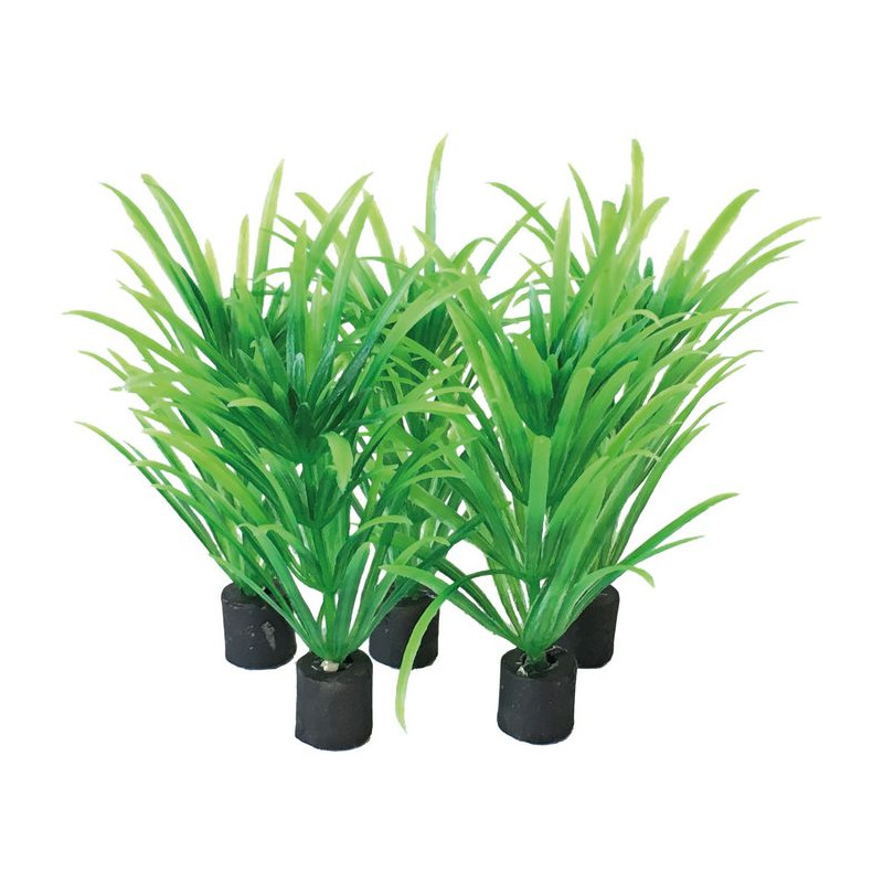 PLANTE NANO PLUG 5CM de Superfish - Aquadistri - accessoires pour aquarium et bassin dans Plantes d'aquarium