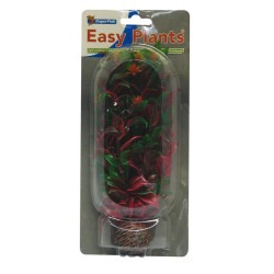 PLANTE MOYENNE 20CM 6 de Superfish - Aquadistri - accessoires pour aquarium et bassin dans Plantes d'aquarium