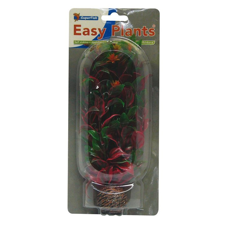PLANTE MOYENNE 20CM 6 de Superfish - Aquadistri - accessoires pour aquarium et bassin dans Plantes d'aquarium