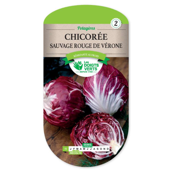 Chicoree Sauv.Rouge De Verone -graines de Les Doigts Verts - graines de Gironde à Bordeaux dans Graines de Chicoree