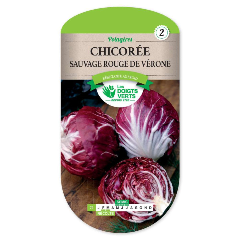 Chicoree Sauv.Rouge De Verone -graines de Les Doigts Verts - graines de Gironde à Bordeaux dans Graines de Chicoree