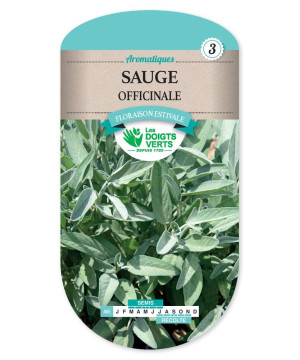 Sauge Officinale -graines de Les Doigts Verts - graines de Gironde à Bordeaux dans Graines d'autres aromatiques
