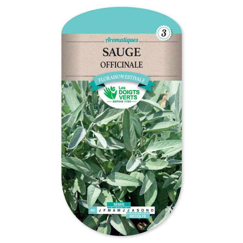 Sauge Officinale -graines de Les Doigts Verts - graines de Gironde à Bordeaux dans Graines d'autres aromatiques