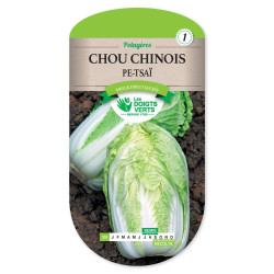 Chou Chinois Pe Tsai -graines de Les Doigts Verts - graines de Gironde à Bordeaux dans Graines de Chou