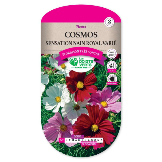 Cosmos Sensation Nain Royal Varie -graines de Les Doigts Verts - graines de Gironde à Bordeaux dans Graines de fleurs en C