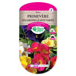 Primevere Jardins Geante Ideale -graines de Les Doigts Verts - graines de Gironde à Bordeaux dans Graines de fleurs en P