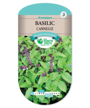 Basilic Cannelle -graines de Les Doigts Verts - graines de Gironde à Bordeaux dans Graines de Basilic
