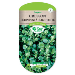 Cresson Fontaine Larges Feuilles -graines de Les Doigts Verts - graines de Gironde à Bordeaux dans Graines de Cresson