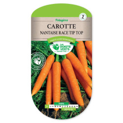 Carotte Nantaise Amel.3 Tip-Top -graines de Les Doigts Verts - graines de Gironde à Bordeaux dans Graines de Carotte