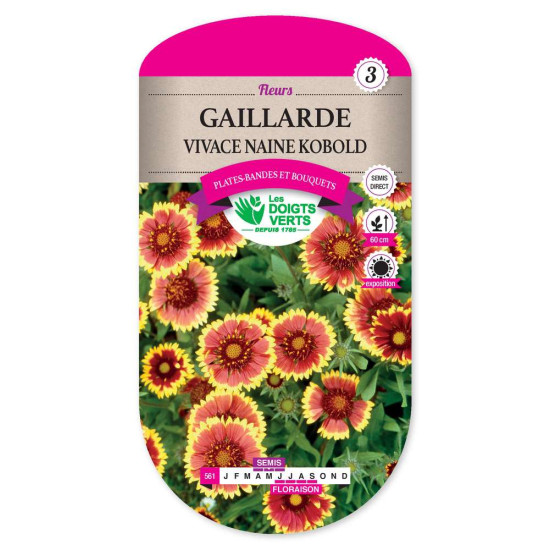 Gaillarde Vivace Naine Kobold -graines de Les Doigts Verts - graines de Gironde à Bordeaux dans Graines de fleurs en G