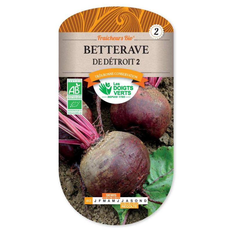 Betterave Detroit 2 Fraich.Bio -graines de Les Doigts Verts - graines de Gironde à Bordeaux dans Graines de Betterave