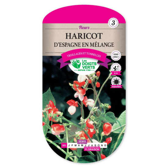 Haricot Espagne En Melange -graines de Les Doigts Verts - graines de Gironde à Bordeaux dans Graines de fleurs en H