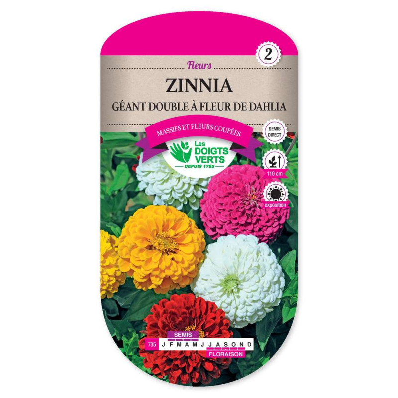 Zinnia Geant Double Fl.Dahlia -graines de Les Doigts Verts - graines de Gironde à Bordeaux dans Graines de fleurs en Z
