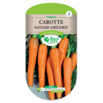 Carotte Nantaise - Sem'Facile -graines de Les Doigts Verts - graines de Gironde à Bordeaux dans Graines de Carotte