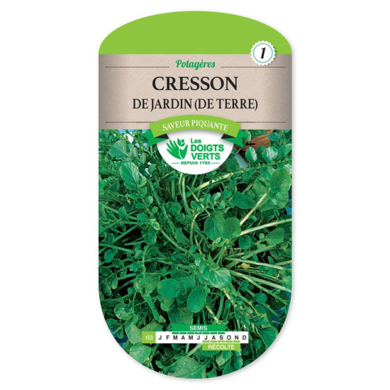 Cresson De Jardin - De Terre -graines de Les Doigts Verts - graines de Gironde à Bordeaux dans Graines de Cresson