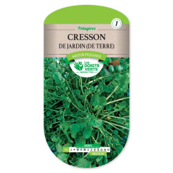 Cresson De Jardin - De Terre -graines de Les Doigts Verts - graines de Gironde à Bordeaux dans Graines de Cresson