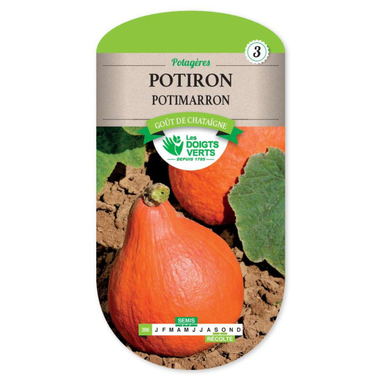 Potiron Potimarron -graines de Les Doigts Verts - graines de Gironde à Bordeaux dans Graines de Potiron - Citrouille