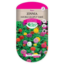 Zinnia Double Lilliput Varie -graines de Les Doigts Verts - graines de Gironde à Bordeaux dans Graines de fleurs en Z