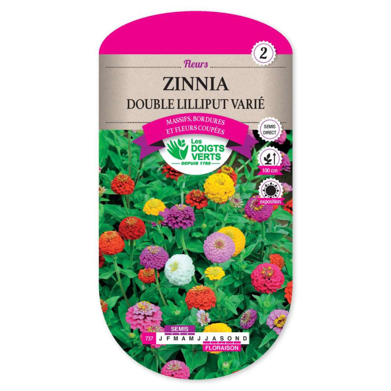 Zinnia Double Lilliput Varie -graines de Les Doigts Verts - graines de Gironde à Bordeaux dans Graines de fleurs en Z