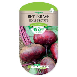 Betterave Noire D'Egypte -graines de Les Doigts Verts - graines de Gironde à Bordeaux dans Graines de Betterave