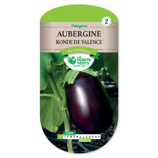 Aubergine Ronde De Valence -graines de Les Doigts Verts - graines de Gironde à Bordeaux dans Graines de Aubergine