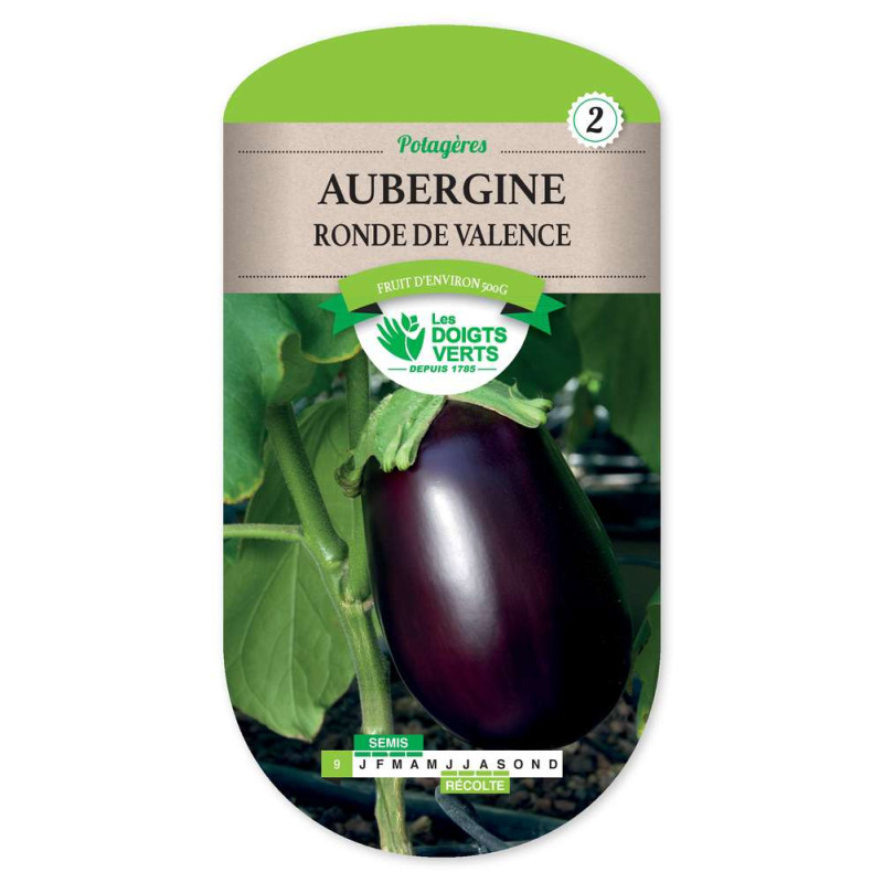 Aubergine Ronde De Valence -graines de Les Doigts Verts - graines de Gironde à Bordeaux dans Graines de Aubergine