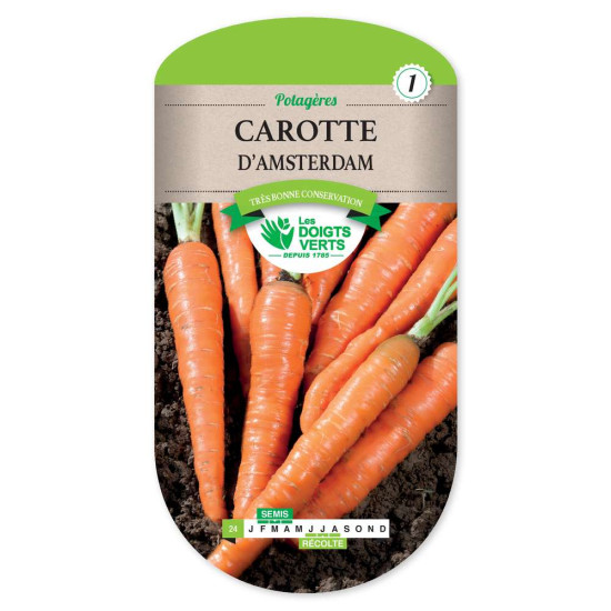 Carotte D'Amsterdam 3 -graines de Les Doigts Verts - graines de Gironde à Bordeaux dans Graines de Carotte