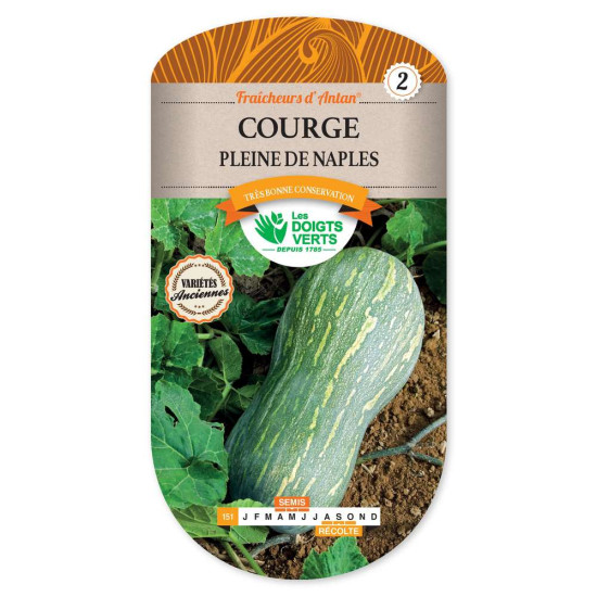 Courge Pleine De Naples -graines de Les Doigts Verts - graines de Gironde à Bordeaux dans Graines de Courgette - Courge
