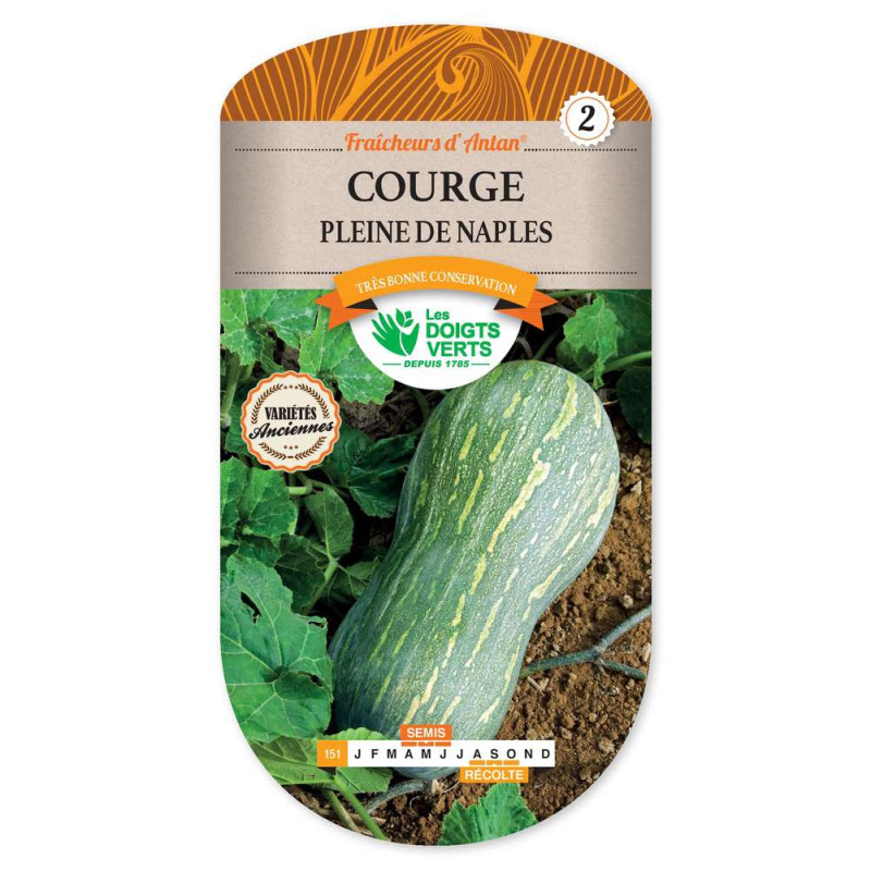 Courge Pleine De Naples -graines de Les Doigts Verts - graines de Gironde à Bordeaux dans Graines de Courgette - Courge