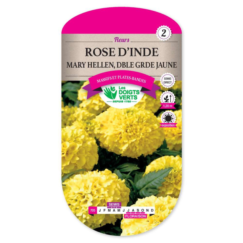 Rose D'Inde Dble Gde Jaune-Mary Hel -graines de Les Doigts Verts - graines de Gironde à Bordeaux dans Graines de fleurs en R