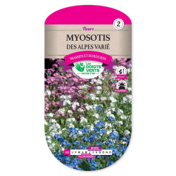 Myosotis Des Alpes Varie -graines de Les Doigts Verts - graines de Gironde à Bordeaux dans Graines de fleurs en M