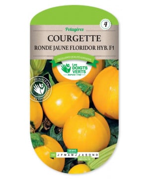 Courgette ronde jaune floridor hyb. de Les Doigts Verts - graines de Gironde à Bordeaux dans Courgette - Courge