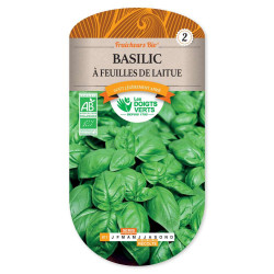 Basilic Feuille De Laitue Fraich.Bi -graines de Les Doigts Verts - graines de Gironde à Bordeaux dans Graines de Basilic