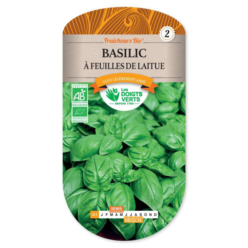 Basilic Feuille De Laitue Fraich.Bi -graines de Les Doigts Verts - graines de Gironde à Bordeaux dans Graines de Basilic