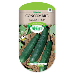 Concombre Raider Hyb.F1 -graines de Les Doigts Verts - graines de Gironde à Bordeaux dans Graines de Concombre